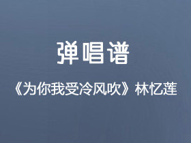 林忆莲《为你我受冷风吹》吉他谱G调吉他弹唱谱