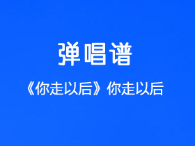 王恩信Est/二胖u《你走以后》吉他谱G调吉他弹唱谱