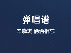 辛晓琪《俩俩相忘》吉他谱G调吉他弹唱谱