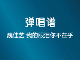 魏佳艺《我的眼泪你不在乎》吉他谱C调吉他弹唱谱