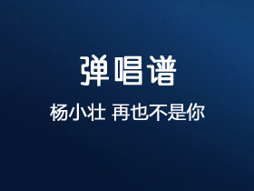 杨小壮《再也不是你》吉他谱C调吉他弹唱谱