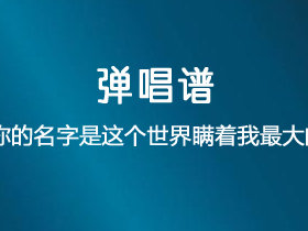 王源《你的名字是这个世界瞒着我最大的事情》吉他谱G调吉他弹唱谱