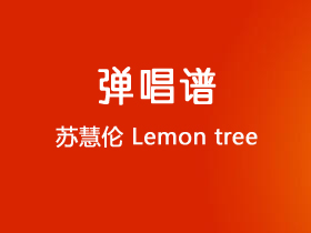 苏慧伦《Lemon Tree》吉他谱C调吉他弹唱谱