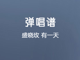 盛晓玫《有一天》吉他谱D调吉他弹唱谱