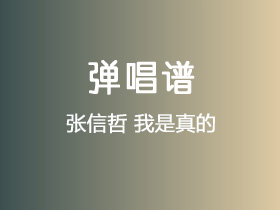 张信哲《我是真的》吉他谱G调吉他弹唱谱