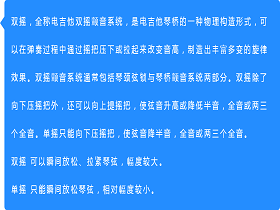 硬件：单摇和双摇电吉他是什么意思？