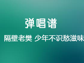 隔壁老樊 《少年不识愁滋味》吉他谱C调吉他弹唱谱