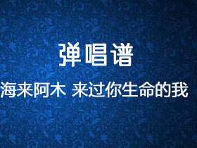 海来阿木 《来过你生命的我》吉他谱C调吉他弹唱谱