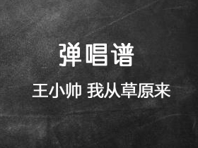 王小帅《我从草原来》吉他谱G调吉他弹唱谱