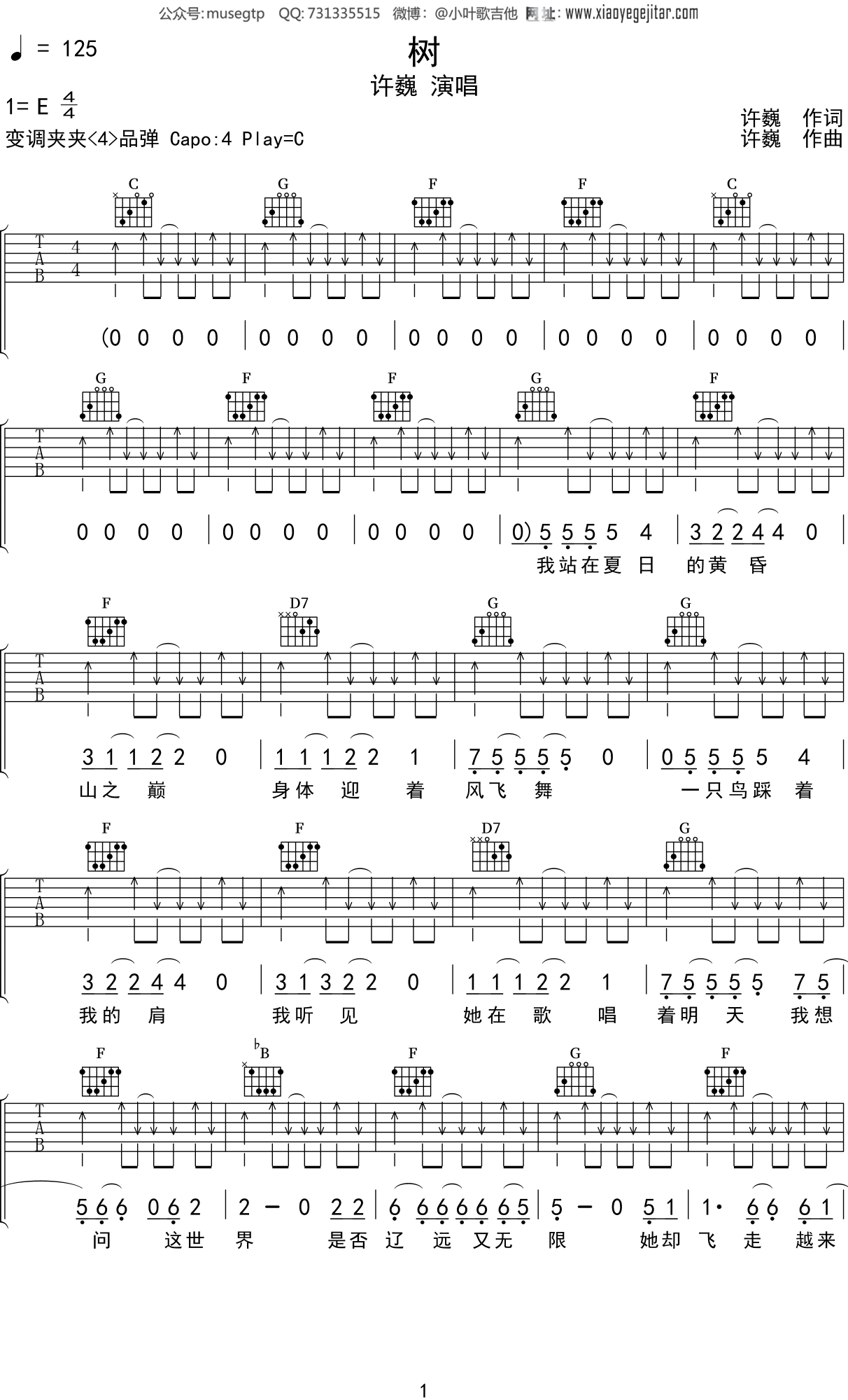许巍《树》吉他谱C调吉他弹唱谱