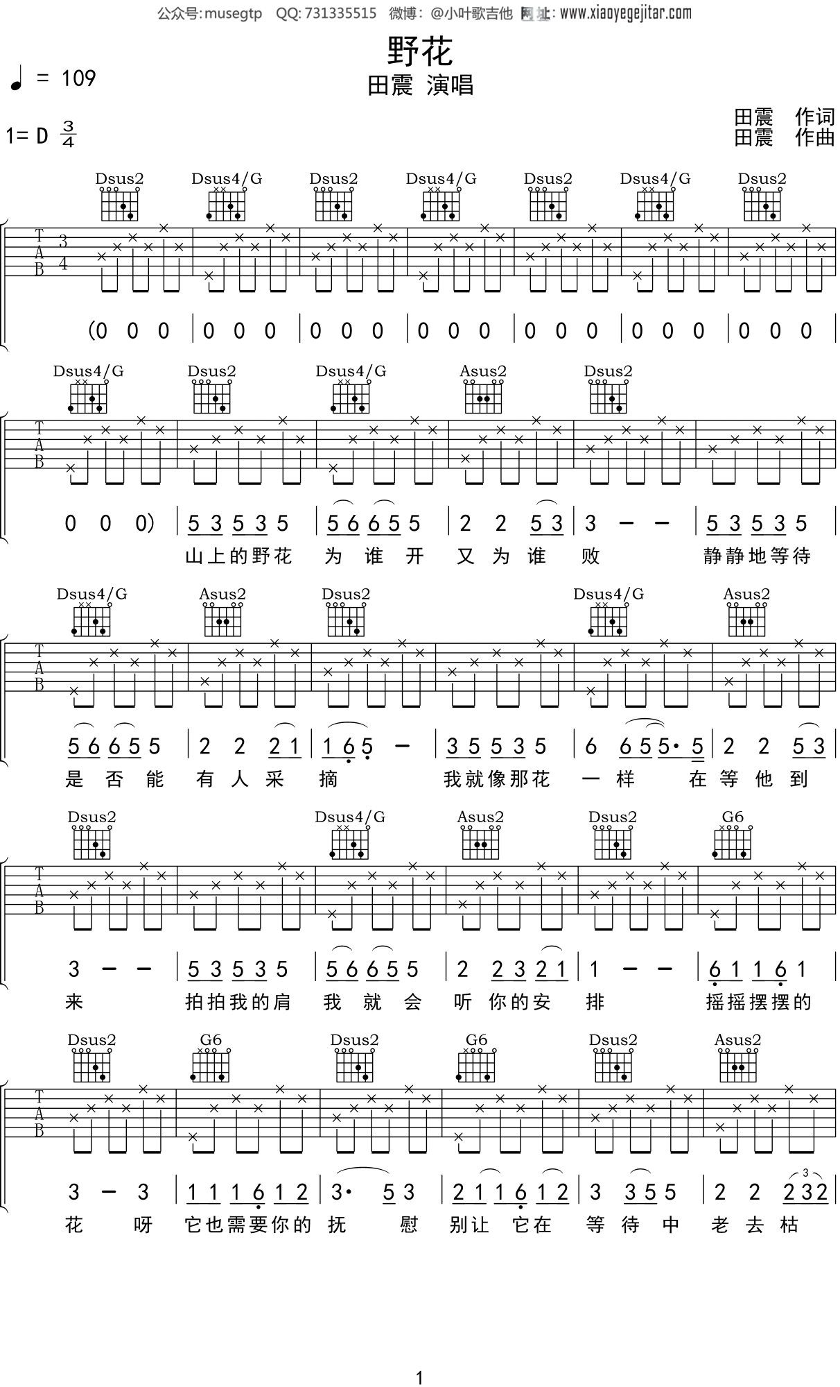 田震《野花》吉他谱C调吉他弹唱谱