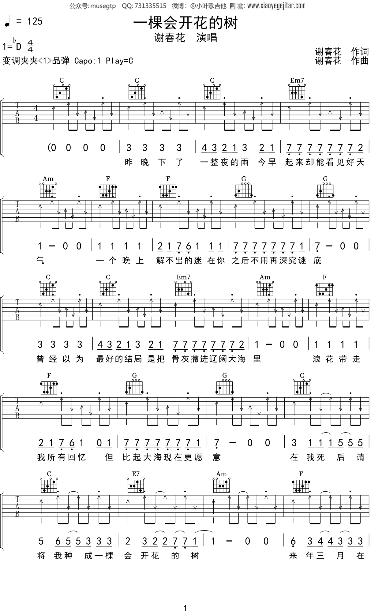 谢春花《一棵会开花的树》吉他谱C调吉他弹唱谱